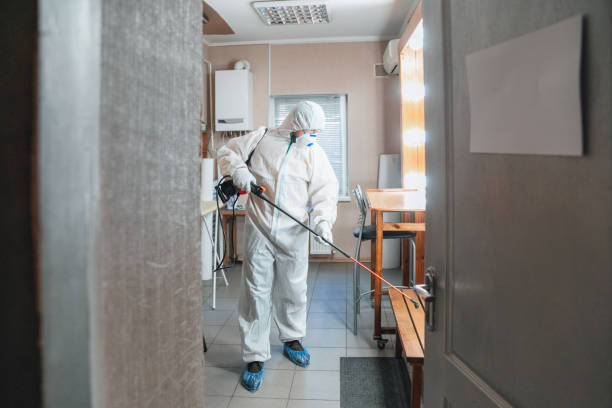Best Forensic Mold Investigation  in Gaylord, MN