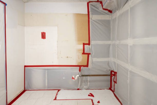 Best Asbestos and Lead Testing During Mold Inspection  in Gaylord, MN