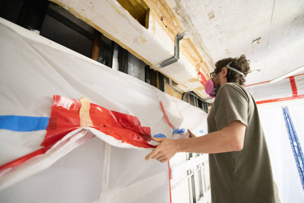 Gaylord, MN Mold Removal Company