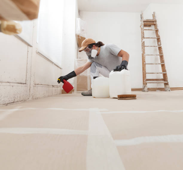 Best Air Quality Testing for Mold Spores  in Gaylord, MN